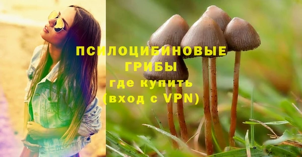 MESCALINE Магас