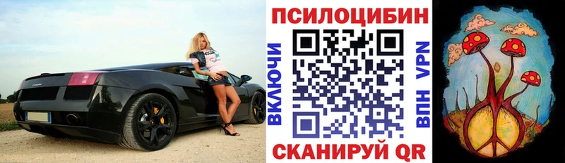 Галлюциногенные грибы Psilocybine cubensis  Купить  Кадников 