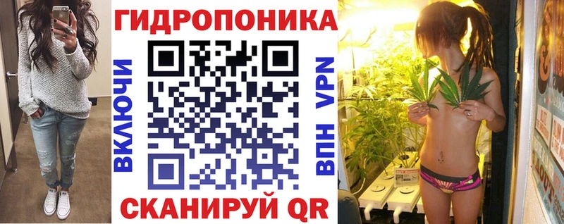 Купить закладки  Кадников  Бошки марихуана конопля 